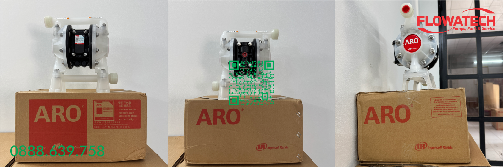 Bơm màng ARO PD03P-APS-PTT